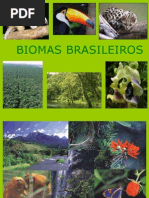 Biomas Do Brasil