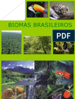 Biomas brasileiros: riqueza e ameaças
