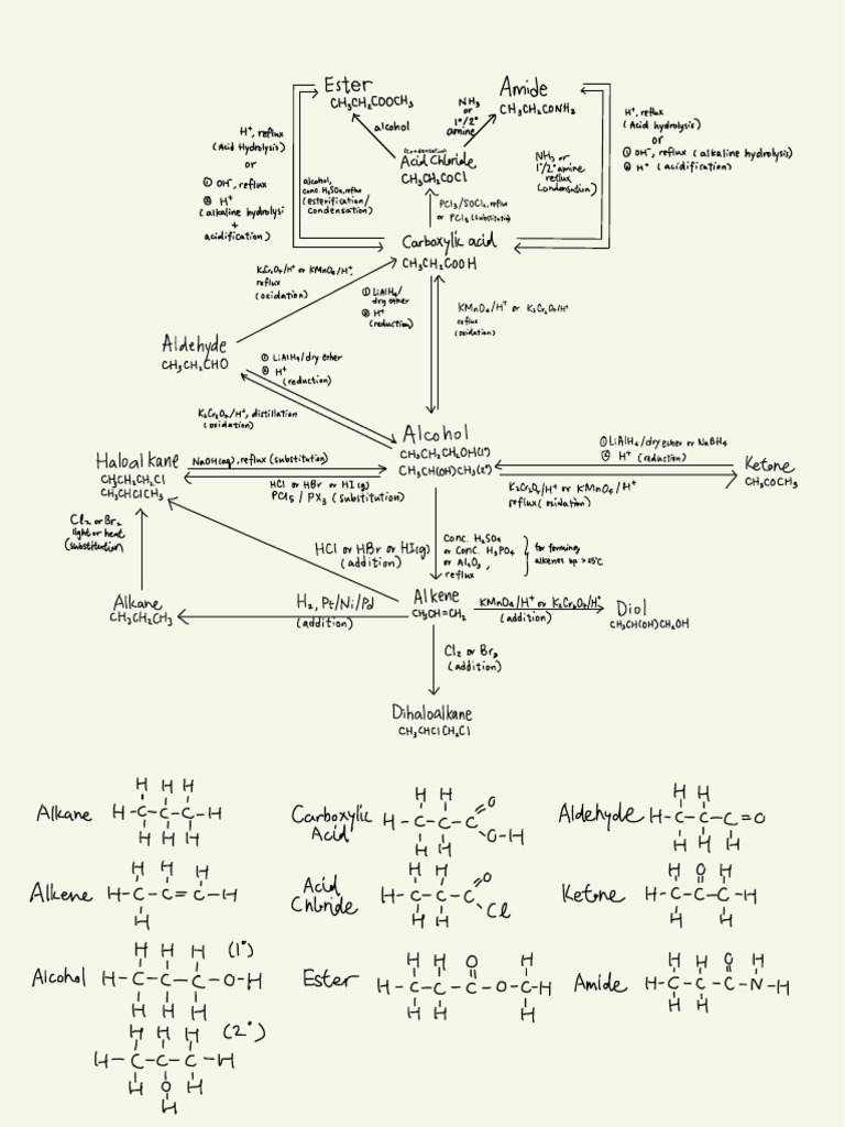 Organic Chem Rx Summary | PDF | Ester | Ether