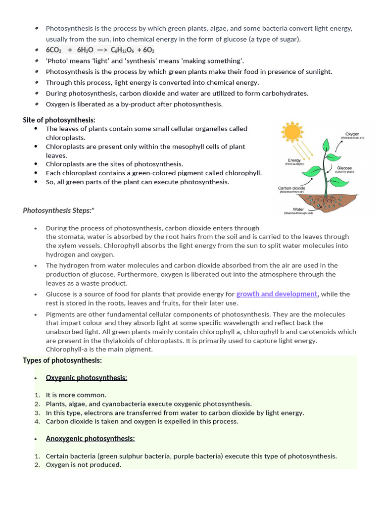 unit 4 bio | PDF | Citric Acid Cycle | Chemistry