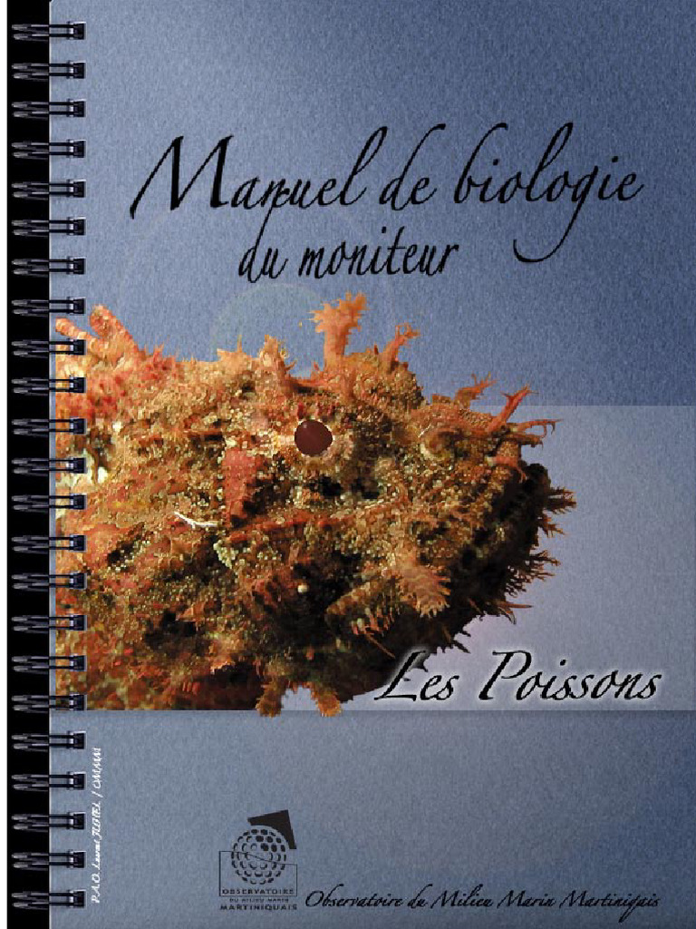Livret Poisson | PDF | Poisson | Requins