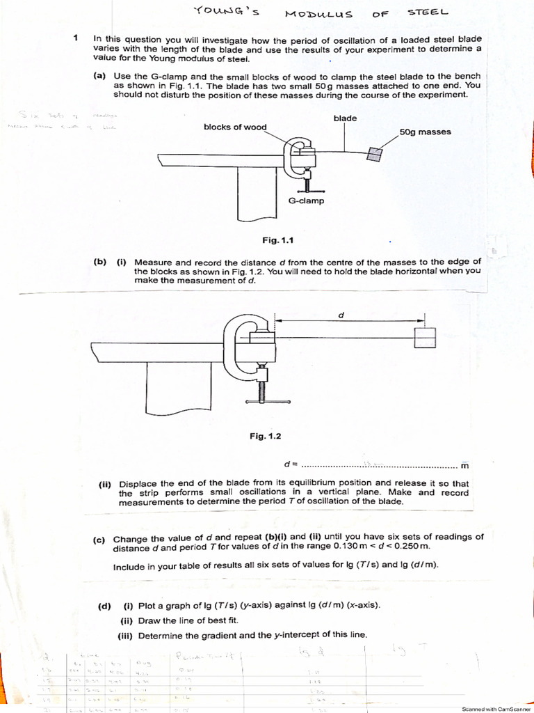 Youngs Modulus | PDF