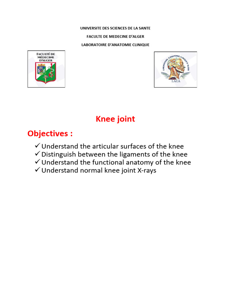 Knee Joint | PDF | Knee | Human Leg