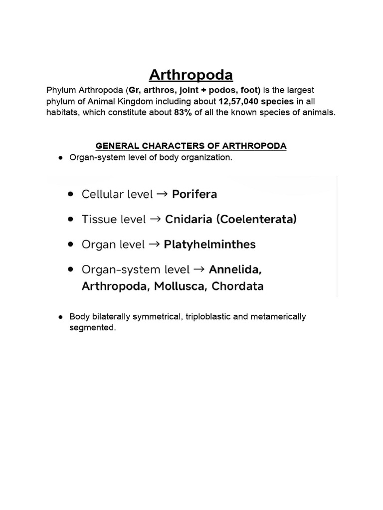Arthropoda Classification | PDF | Beetle | Insects