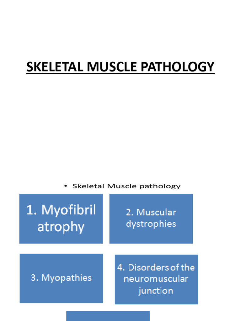 Muscular Disease for Medical Students 0 | PDF | Neuromuscular Junction ...