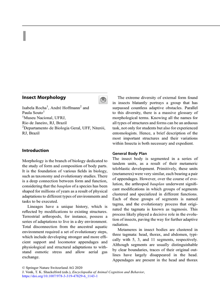 2.1 tagmata | PDF | Hexapoda | Zoology
