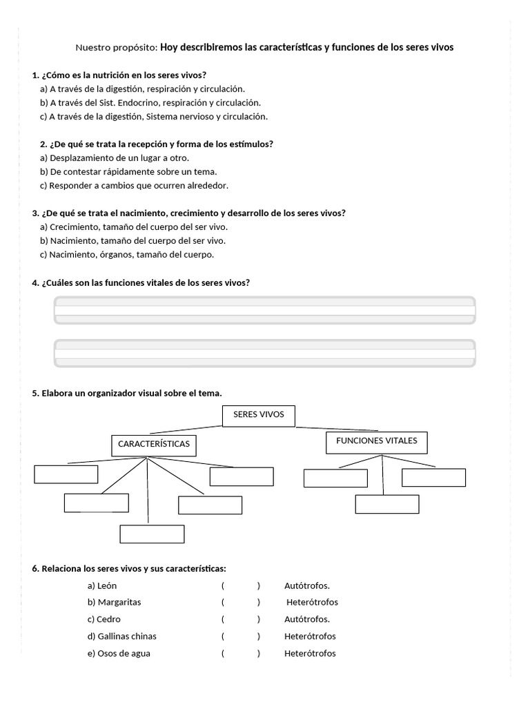 Viernes 05-04-24 Ficha Ct Funciones de Los Seres Vivos | PDF