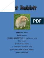 Lost Rabbit