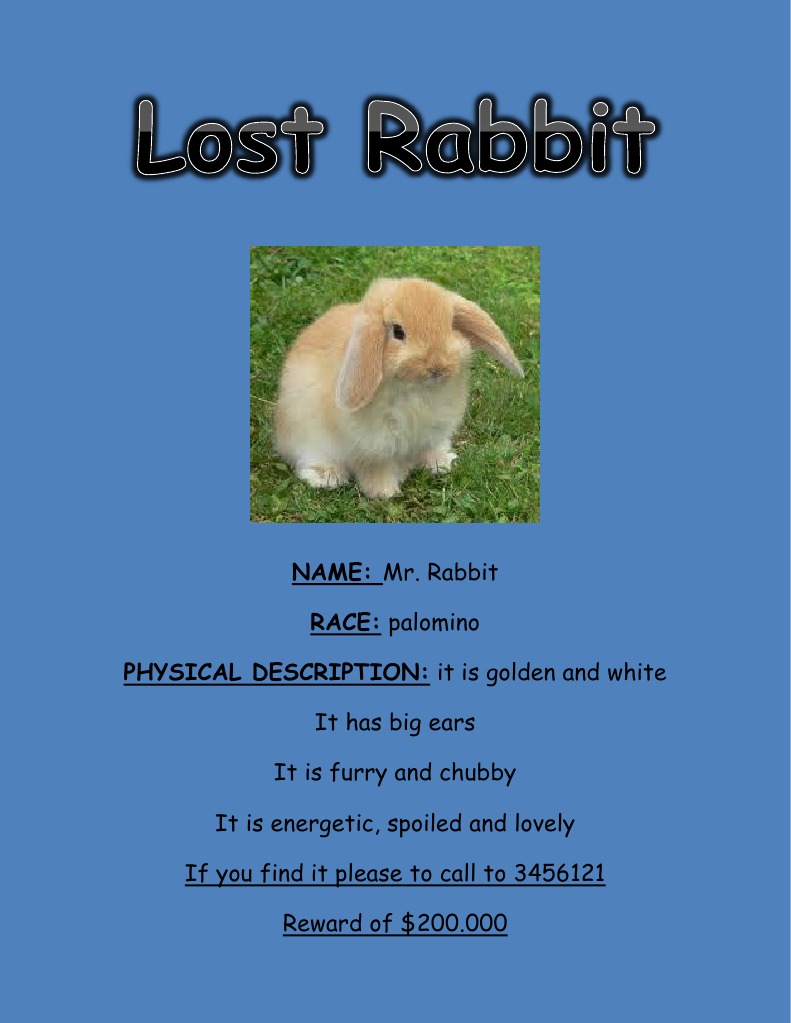 Lost Rabbit | PDF