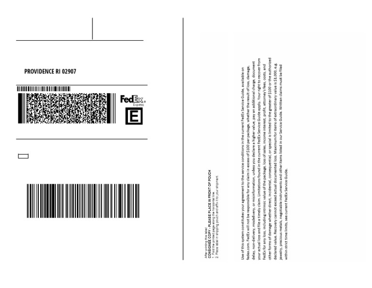 2025-12-18T16_41_34-FedEx-Shipping-Label (1) | PDF