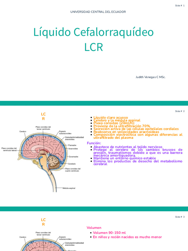 3. LCR | PDF | Fluido cerebroespinal | Meningitis