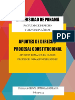 Apuntes de Derecho Procesal Constitucional - I Semestre - Prof Oswaldo F.