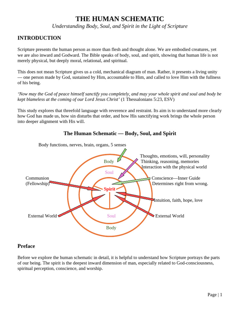 The Human Schematic - Body, Soul and Spirit | PDF | God | Soul
