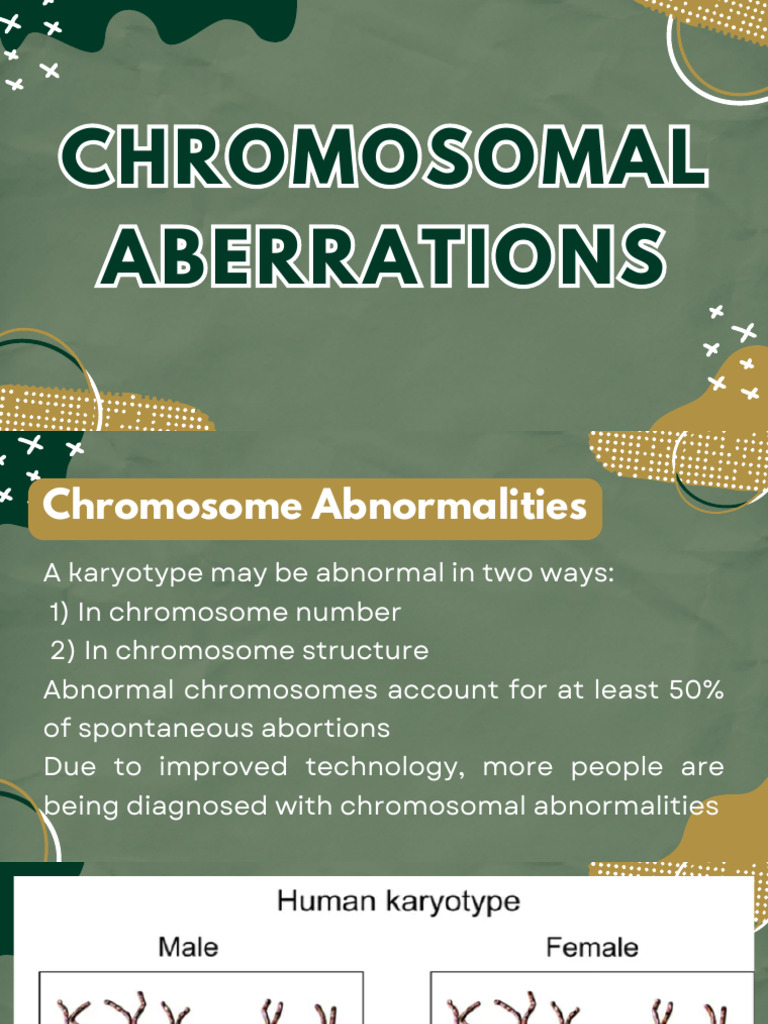 Chromosomal Abnormalities 20260412 104928 0000 | PDF | Ploidy | Chromosome