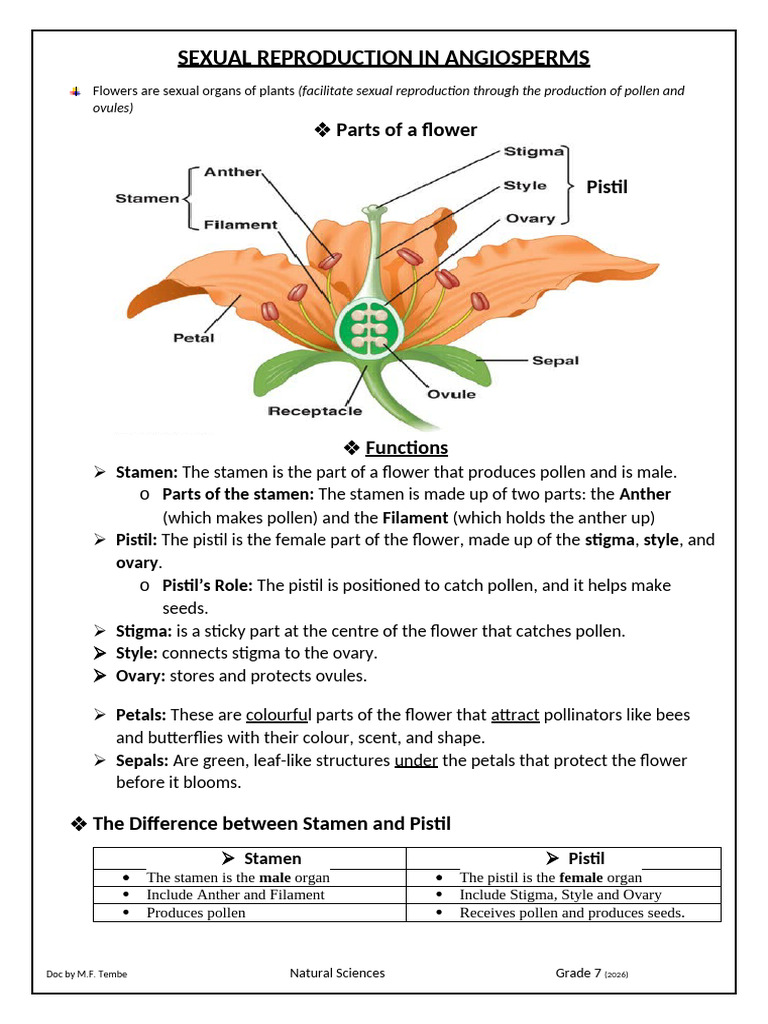 Parts of a Flower (Notes) | PDF