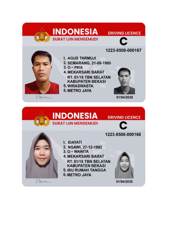 Format Sim | PDF
