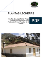 Plantas Lecheras