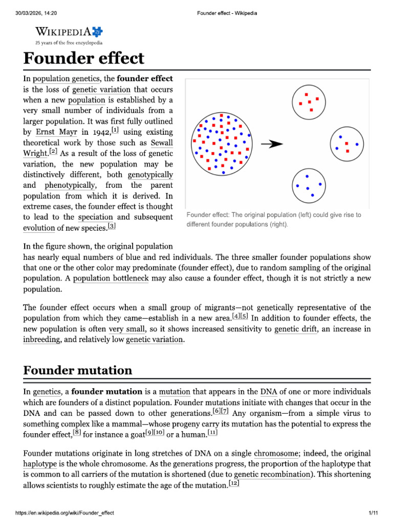 Founder Effect | PDF