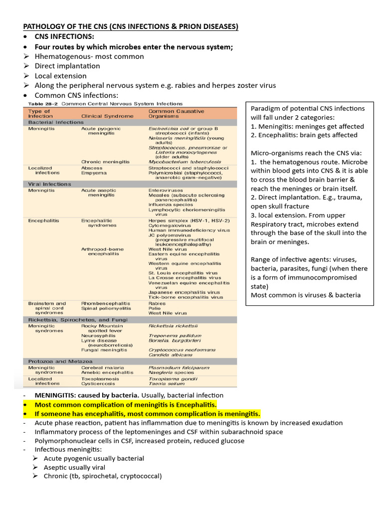 PATHOLOGY OF THE central nervous system part 2 | PDF | Meningitis ...