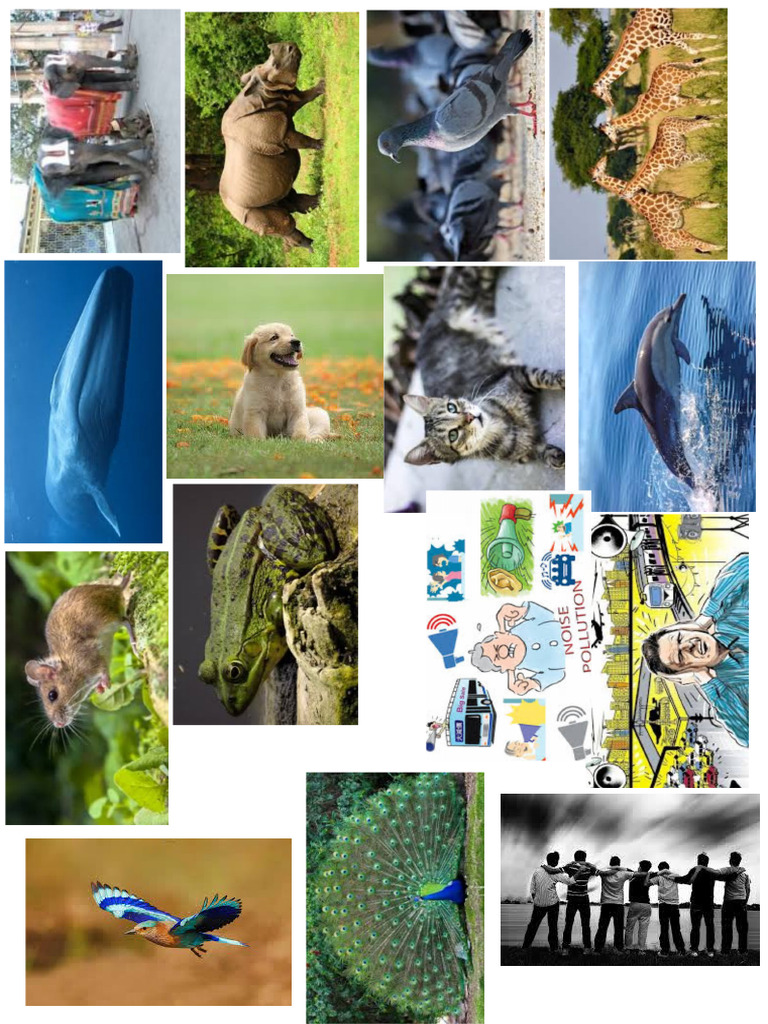 1pics | PDF