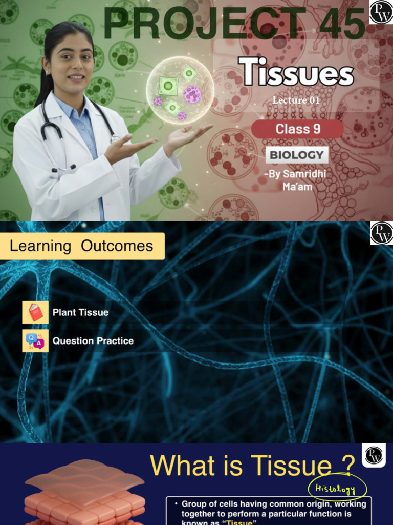 Tissues 01 Class Notes Class 9th PROJECT 45 | PDF