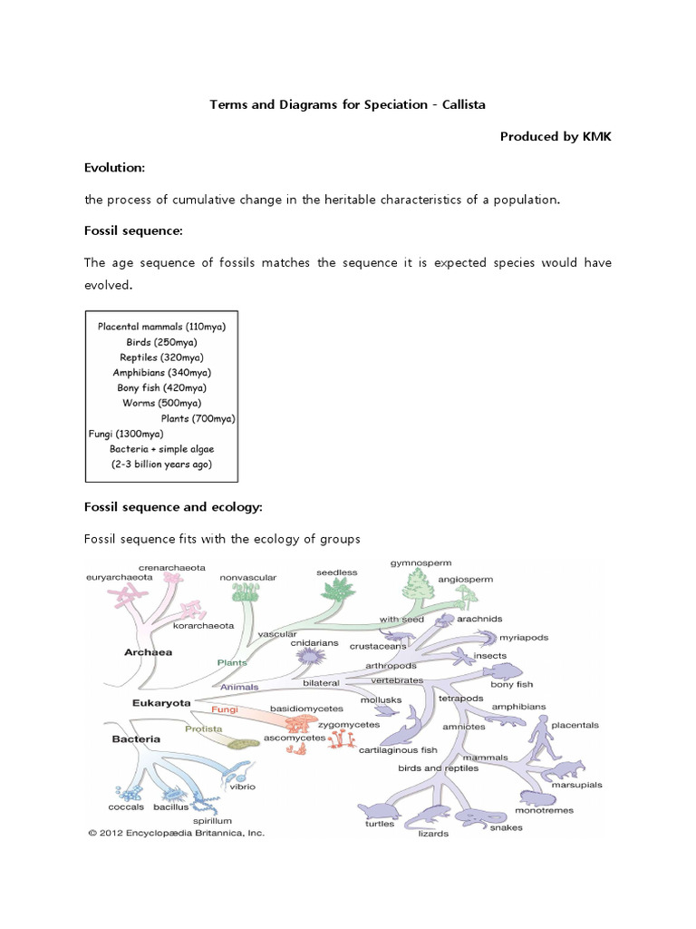 Terms and Diagrams for Evolution and Speciation | PDF | Evolution ...