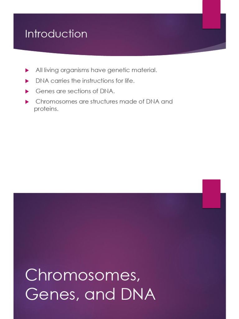 Chromosomes Genes DNA | PDF