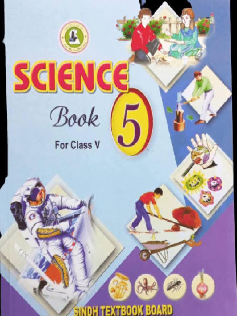 science 4 to 8 IBA | PDF