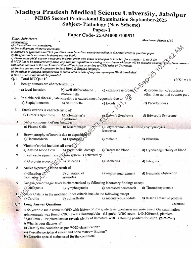 Mpmsu 2025 Patho Paper 1 | PDF