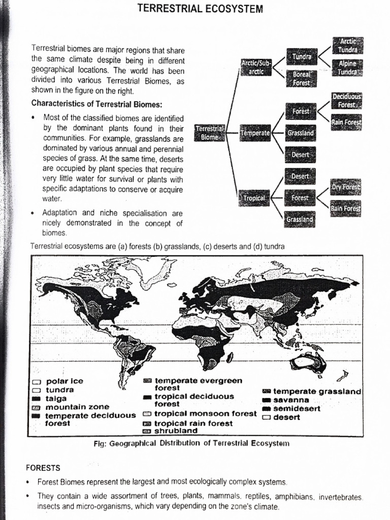 Terrestrial | PDF