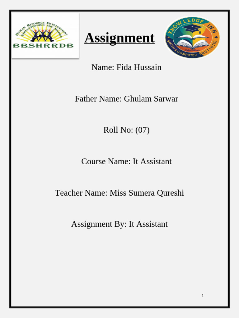 Fida Hussain Assignment | PDF | Microsoft Access | Microsoft Excel