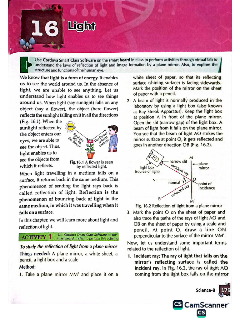 LIGHT | PDF