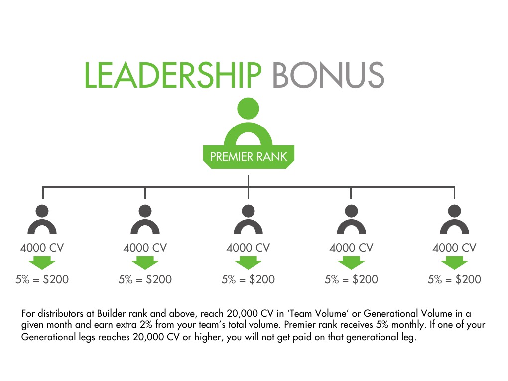 Leadership Bonus | PDF | Business