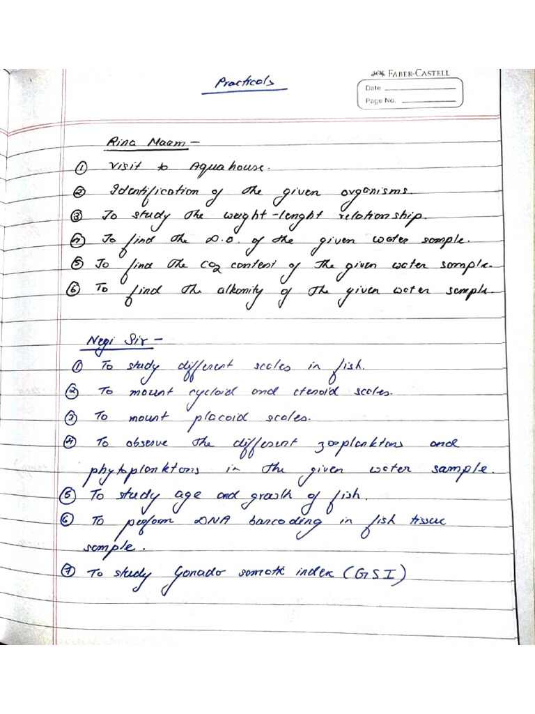 Practical | PDF