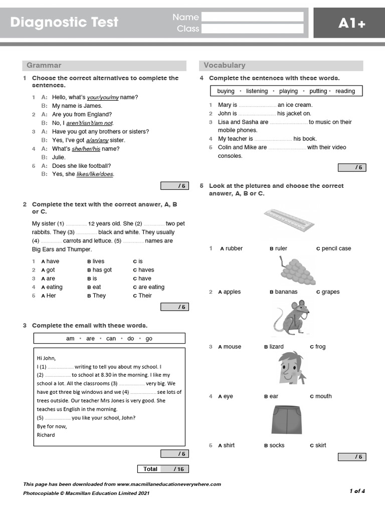A1PLUS Diagnostic Test | PDF