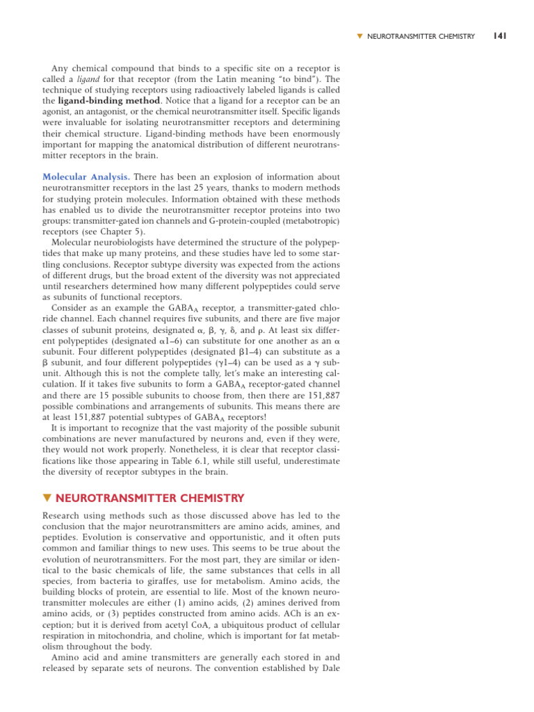 Neuroscience - Exploring The Brain-19 | PDF | Acetylcholine ...