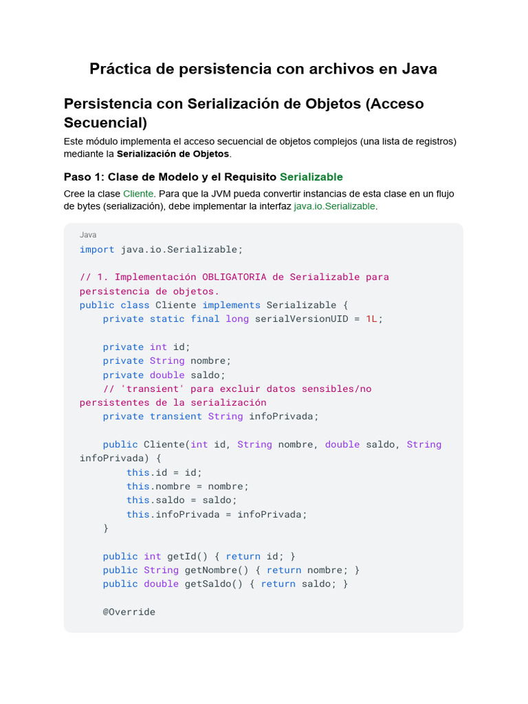 Practica de Persistencia Archivos en Java | PDF