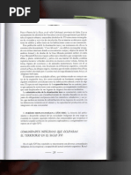 Análisis histórico de la región de Cuyo | PDF | Pueblos Indígenas de ...