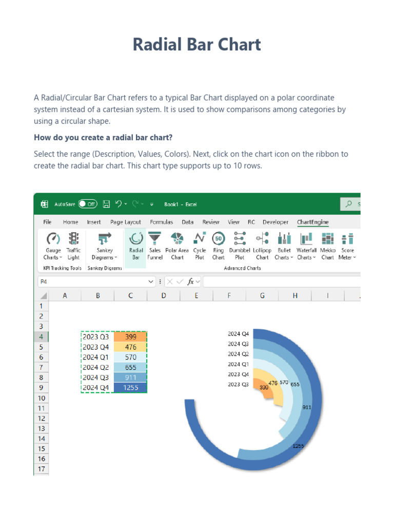 004 - Radial Bar Chart | PDF