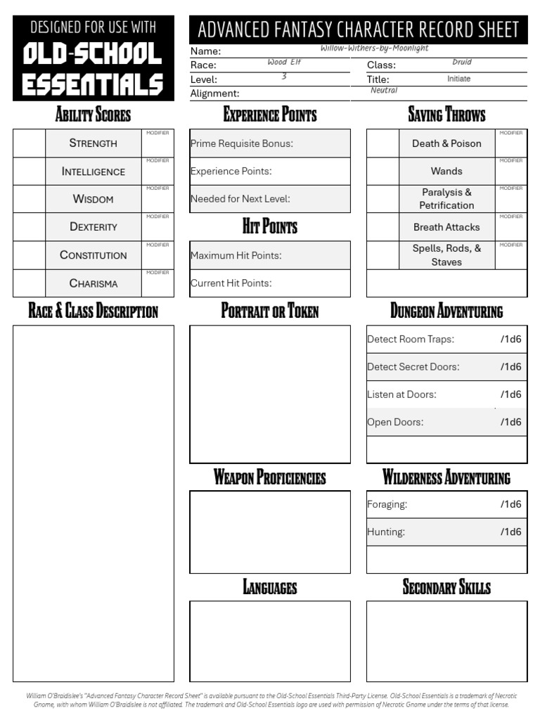 ADVANCED FANTASY CHARACTER RECORD SHEET-1 | PDF | Role Playing Games ...