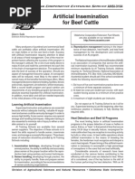Beef Cow Synchronization Protocols | PDF | Cattle | Land Management