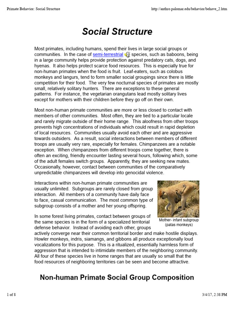 Primate Behavior_ Social Structure | PDF | Chimpanzee | Monkey