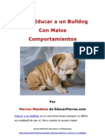 Como Educar A Un Bulldog Con Malos Comportamientos