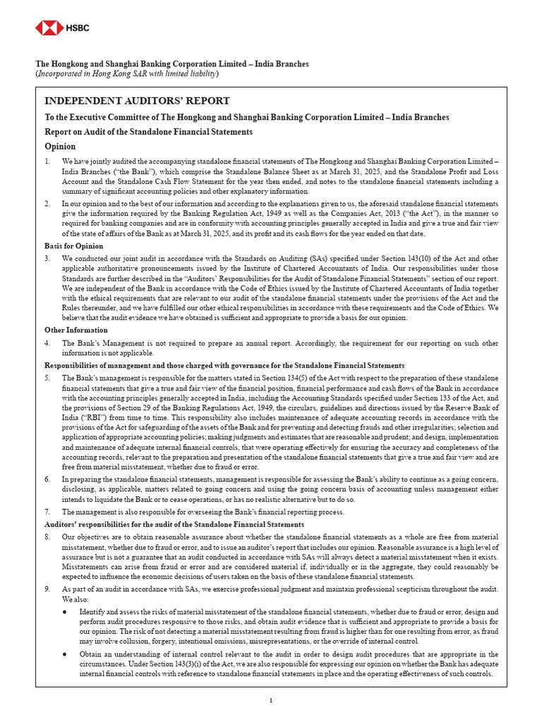 Annual Report 2025 | PDF | Audit | Going Concern