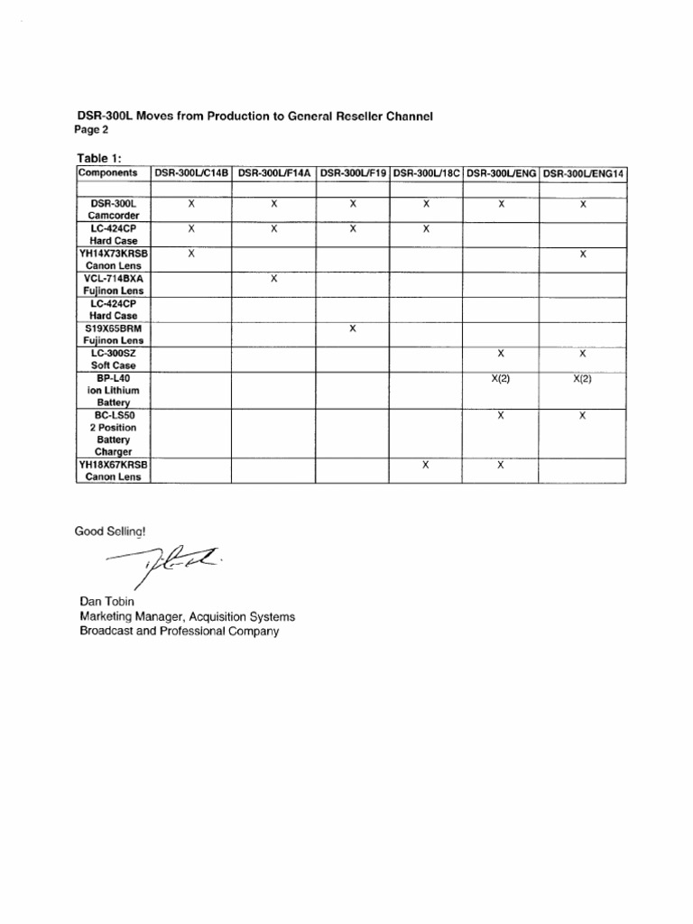 DSR 300 Matrix | PDF