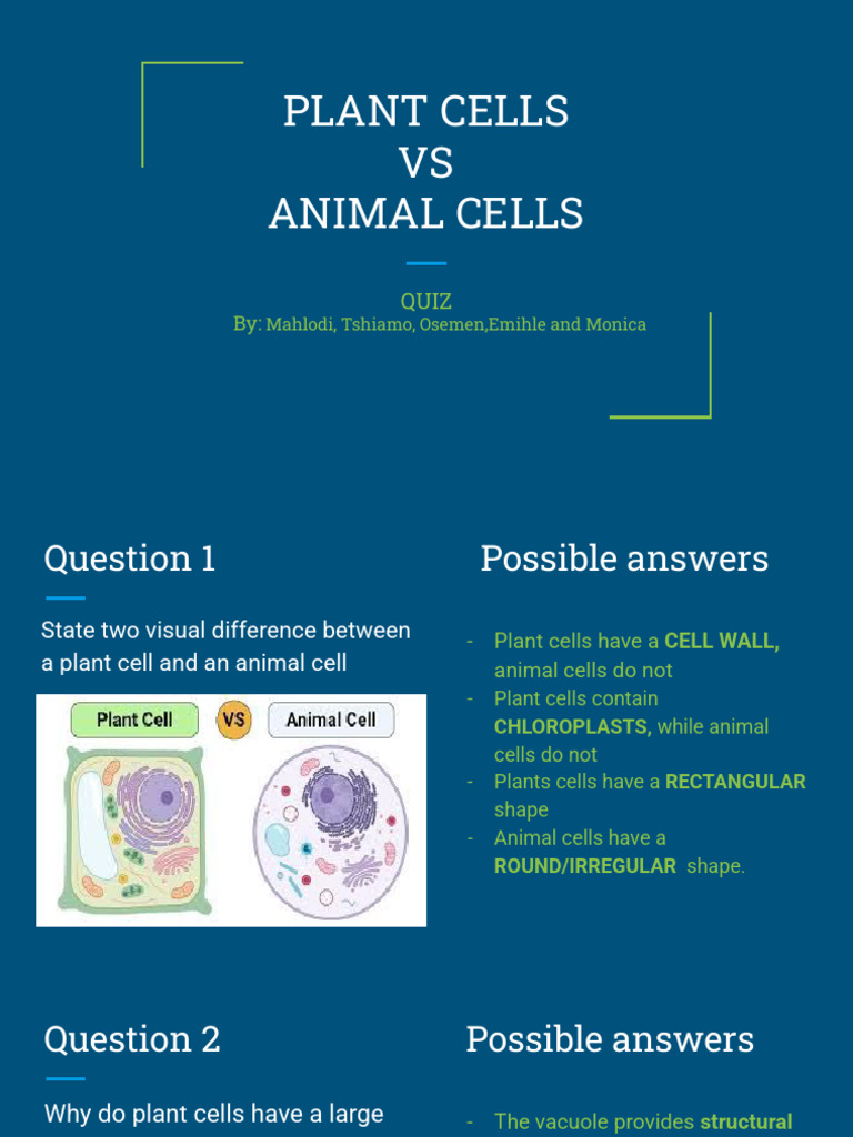 Plant Cells VS Animal Cells | PDF | Cell (Biology) | Vacuole