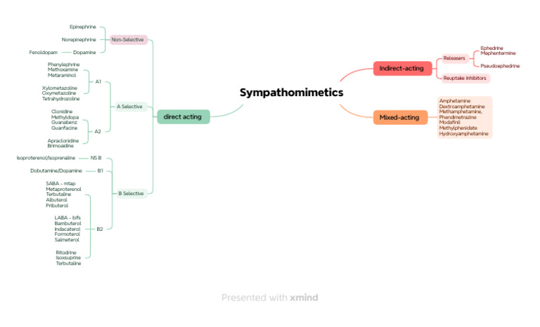 Sympathomimetics | PDF | Drugs Acting On The Nervous System | Drugs