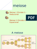 Meiose