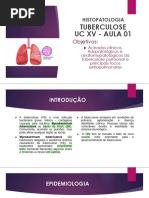 Nódulo de Ghon e Complexo de Ranke | PDF | Tuberculose | Mycobacterium ...