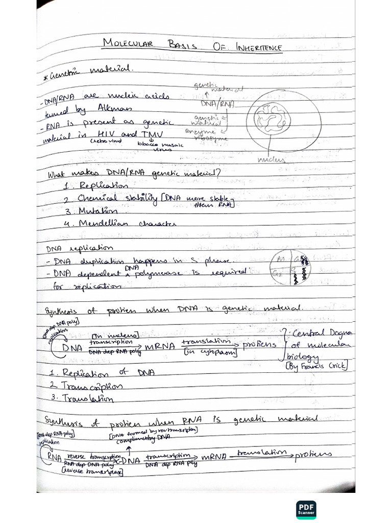 Bio Tuition Notes | PDF